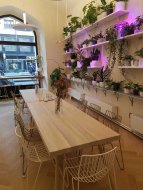 Kavárna Urban Café